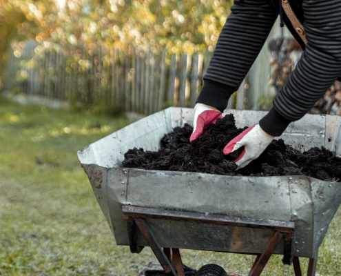 compost déchets alimentaires